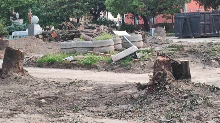 Marigliano, Olocausto green nella Villa Comunale: sterminati alberi di più di quarant'anni. Il day After è traumatico 5 440985023 3863503977269063 1730558004766415353 n