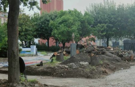 Marigliano, alberi annientati in Villa Comunale: parte una strategia comunicativa degna del peggior repertorio civico 3 445377348 2129890660721898 9158372859155528426 n