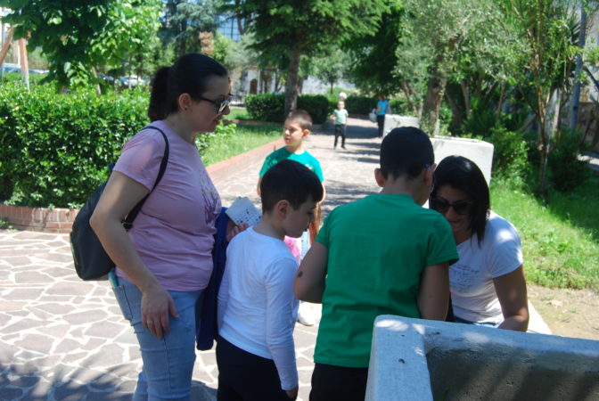 DSC 0006
