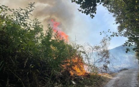 Somma Vesuviana, prevenzione incendi: il sindaco firma l'ordinanza che prevede l’obbligo di interventi da parte dei possessori di terreni incolti 5 INCENDISOMMA