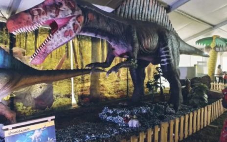 Avellino, lo straordinario viaggio nella preistoria con “Jurassic Expo in Tour” 5 dinosauro 1024x768 1