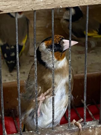 foto del 24 5 24