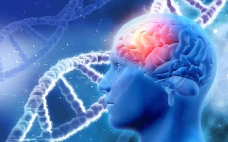 Sclerosi multipla, in Italia 1 diagnosi ogni 3 ore: più a rischio giovani e donne 4 human brain
