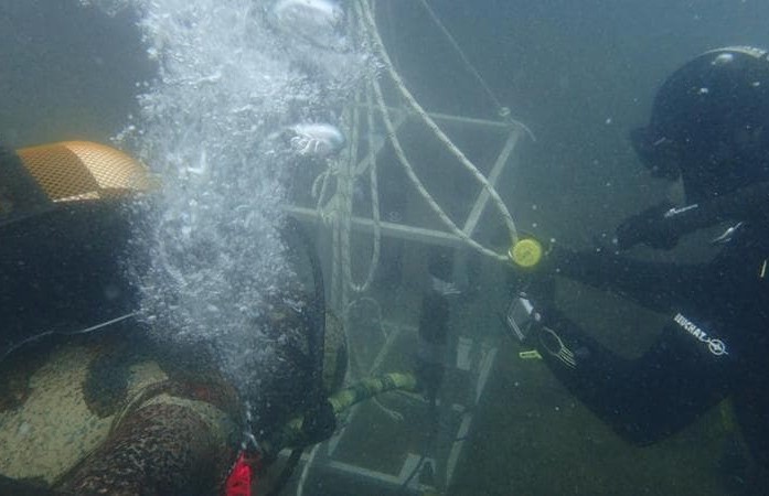 monitoraggio golfo