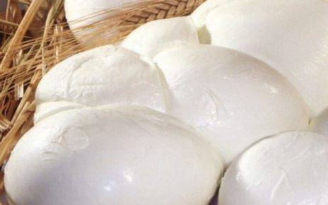 Alvignano, la bontà della mozzarella e la riscoperta degli antichi vitigni 6 mozzarella 2