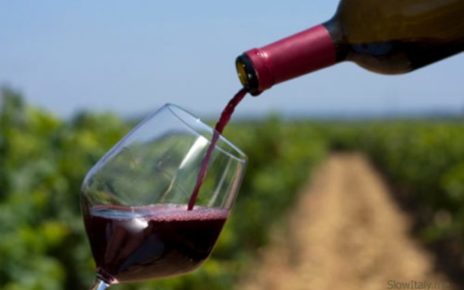 vino 1