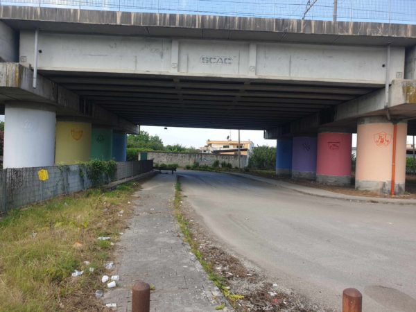 Scisciano, esplode la gioia: si accende la XX Edizione della Festa dell’Arcobaleno 10 446005431 464832149741799 38594171319740908 n 1
