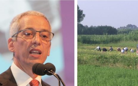 Caporalato, Cavallaro (Segretario Generale Cisal): "Serve risposta mirata, inasprire le sanzioni" 4 Caporalatomod