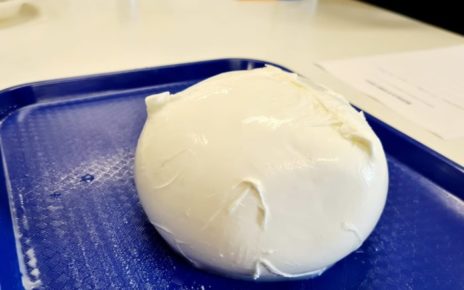 Summer Fancy Food, Coldiretti a New York tra Italian Sounding e attacco a dieta mediterranea 4 Mozzarella di Bufala Campana Dopmod