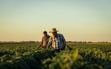 SH contadini agricoltori nei campi