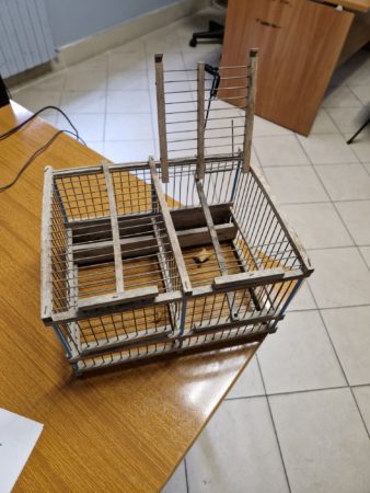 foto del 25 6 24 2