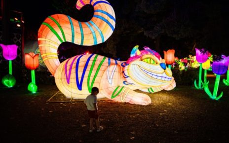Napoli, "This is wonderland - Alice lost inside you": a un mese dall’apertura 60.000 persone immerse in una favola 3 071 Alice Napolimod
