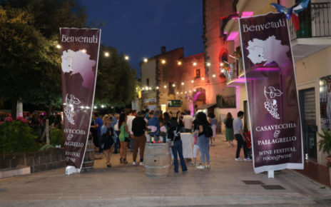 Pontelatone, al via il weekend del Casavecchia e Pallagrello Wine Festival dedicato a due grandi vitigni autoctoni casertani 3 2rid 1