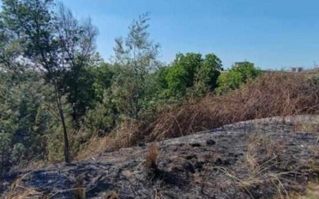 Marigliano, allarme roghi su Vasca San Sossio: il tempestivo intervento della Protezione Civile Salamandra evita il peggio 5 449310874 25868323836147688 1875850194227093497 n