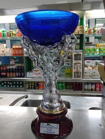 Ottaviano CSB Gianna Vince Campionato Categorie Base FISBB 7 8. Coppa per i Vincitori del Campionato FSIBB 2023 2024 al CBS Gianna di Ottaviano 9.7.2024
