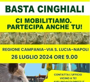 BASTA CINGHIALI
