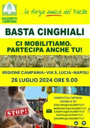 BASTA CINGHIALI
