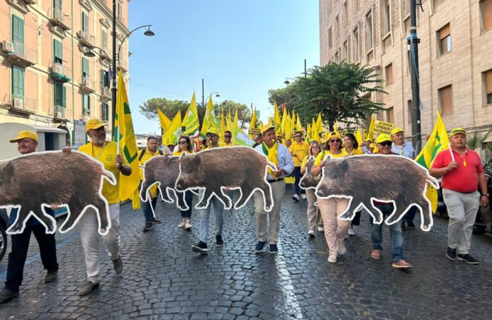 Corteo 1
