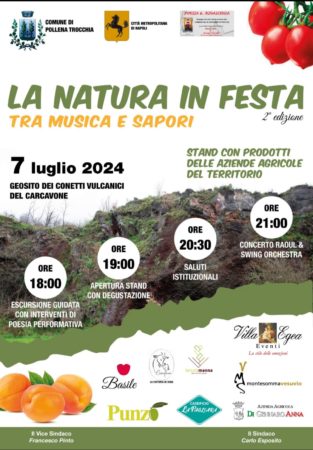 LA NATURAIN FESTA LOCANDINA