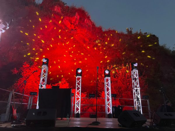 La Natura in festa 4