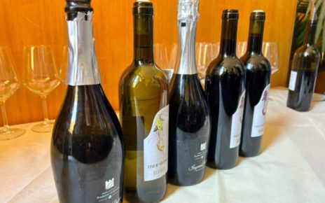 Campania, Uve rare del casertano: un progetto di valorizzazione 4 bottiglie uve rare foto
