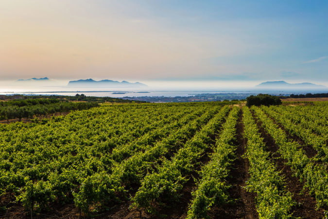 1472079386 0 non solo mozia la proposta il territorio vitivinicolo di marsala patrimonio unesco