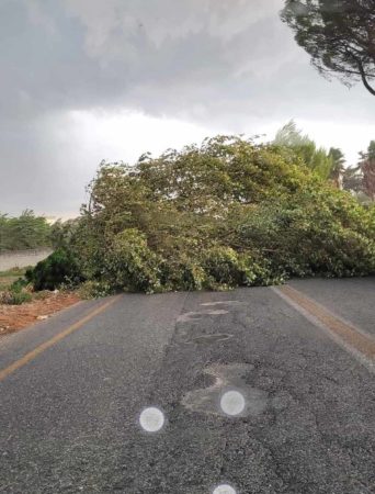 Marigliano sott'acqua: strade allagate e traffico in tilt, tragedia scongiurata 2 453831767 2242109182795388 3994730355253550304 n