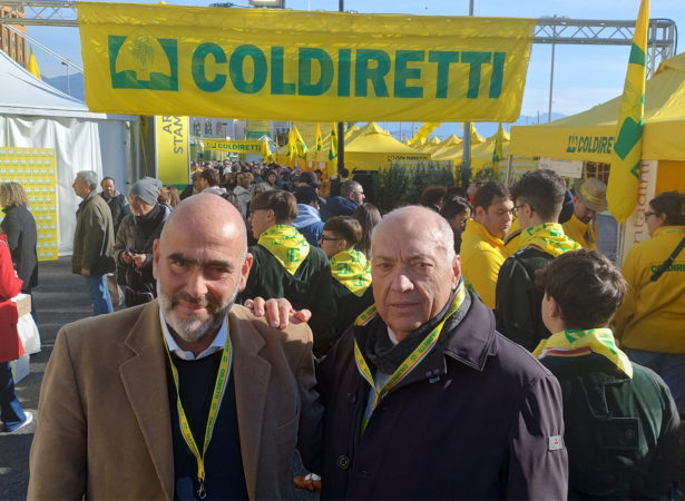 Bellelli e Loffreda