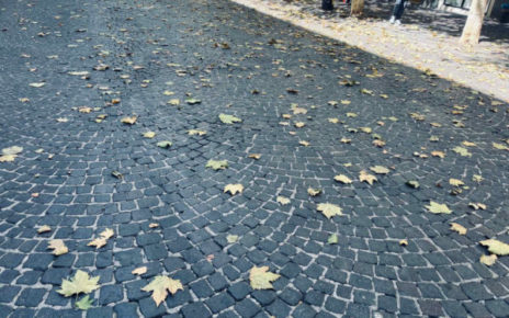 Napoli, Vomero: Ferragosto con tappeti di foglie morte 3 Vomero via Scarlatti ferragosto con foglie morte