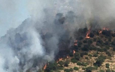 Emergenza incendi nell'agro Nocerino-Sarnese: roghi sul monte Solano 4 e81075de 547c 4acb 8055 8809e2f97b42