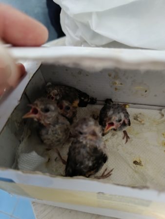 foto del 23 8 23