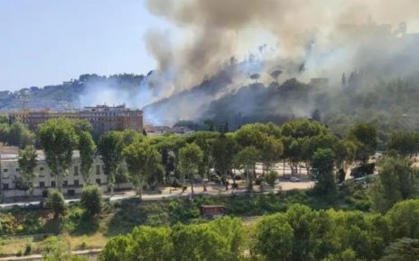 Roma, incendio Monte Mario Area Naturale: interviene l’Ordine dei Geologi del Lazio 5 incendio monte mario roma 9.jpg