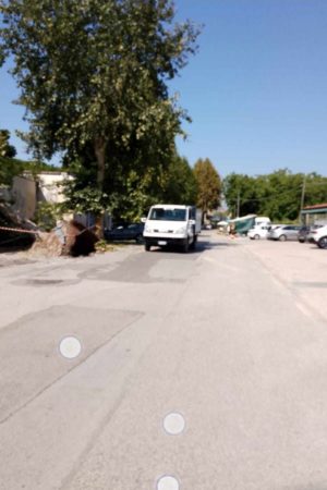 Marigliano, tromba d'aria devasta il Cimitero Monumentale tra alberi sradicati e degrado 2 tempest1
