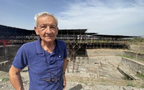 Somma Vesuviana, apertura della nuova stagione di scavi archeologici 4 Antonio De Simonemod