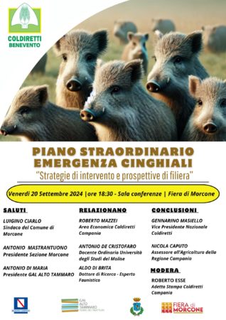 Locandina Benevento