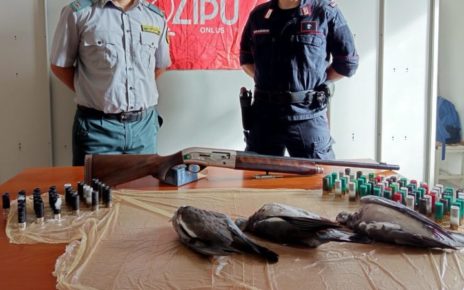 Giugliano, cacciatore fermato: uccisi colombacci non cacciabili e fucile irregolare sotto sequestro 5 cacciatore nei guai