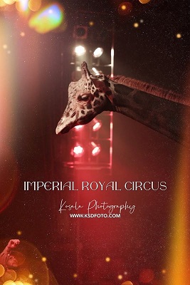 circus7