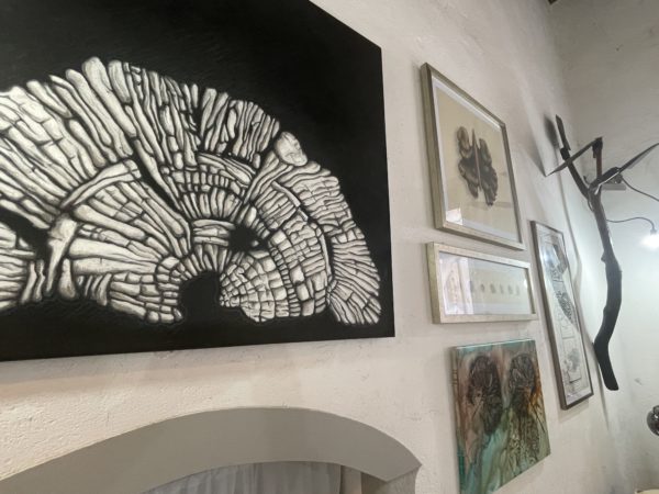 Somma Vesuviana, apre ai turisti il laboratorio d’arte dell’artista Mary Pappalardo nel cuore del Borgo Antico del Casamale 7 074mod
