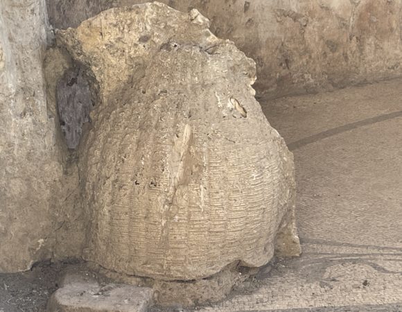 Somma Vesuviana, boom di presenze al Festival del Baccalà 2 Calco di cesta Villa Augusteamod