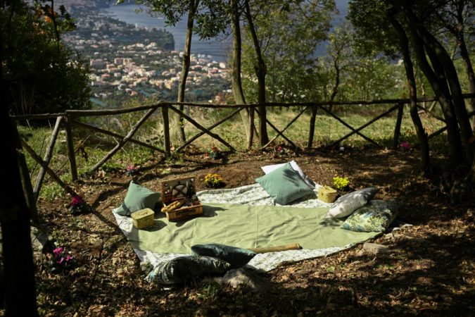 Vico Equense, Tenuta Astapiana: nasce il primo parco bioenergetico del Sud-Italia 3 foto 14