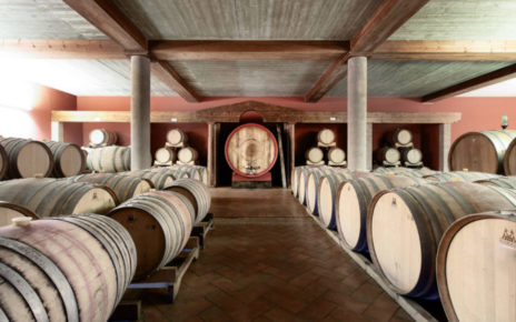 Torrecuso, Fontanavecchia migliore cantina del Sud Italia: premiato l'impegno ventennale per la valorizzazione della Falanghina 3 foto 2 7 1
