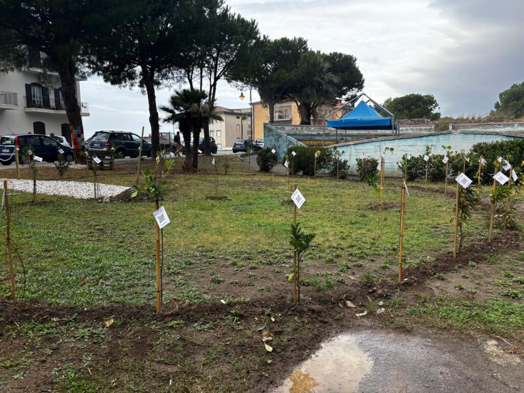 Campania, Fondazione Vassallo: "Nasce a Fuscaldo il primo parco della pace italiano, un tributo a Angelo Vassallo e a tutti i costruttori di pace" 2 Fondazione Vassallo 4