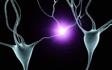 Miastenia gravis, novità nelle cure: da Aifa via libera a Ravulizumab 5 miasteniamod