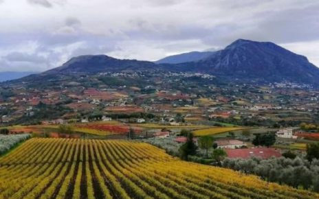 Torrecuso, al via la IV Edizione di “Sorriso di Bacco” 3 vigneti torrecusomod