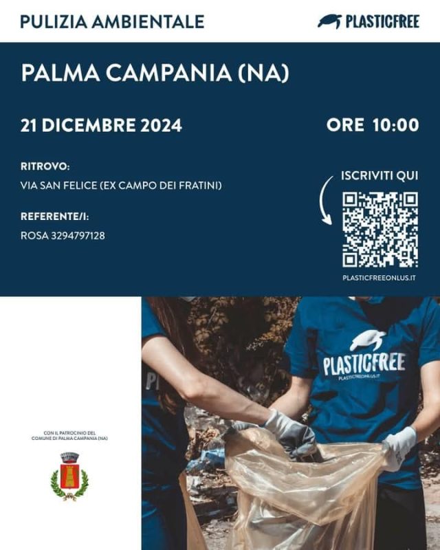Palma Campania, uniti per l’ambiente: Plasticfree organizza una giornata di pulizia del territorio 2 470674115 9079242155478577 7099247153881883070 n