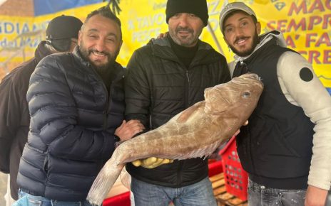 "I Diamanti del Mare”: nuovo Punto Vendita a Soccavo per un Natale di freschezza e qualità 8 922dc39f d426 4de9 a54a 7e6b4aaad145