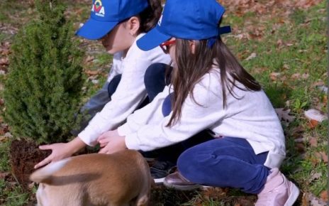 Cava dei Tirreni, a disposizione dei cittadini oltre 100 piccoli abeti: saranno ripiantati dopo le feste nel Parco Naturale Diecimare Oasi WWF 3 Adotta lalberello 2