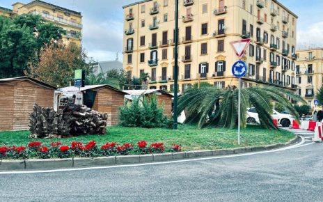 Napoli, Piazza degli Artisti: morte altre due palme 3 Napoli piazza degli Artisti le due palme uccise dal punteruolo rosso