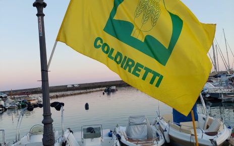 "Pesca Amica", giornata evento al mercato Campagna Amica di Salerno 5 PESCA