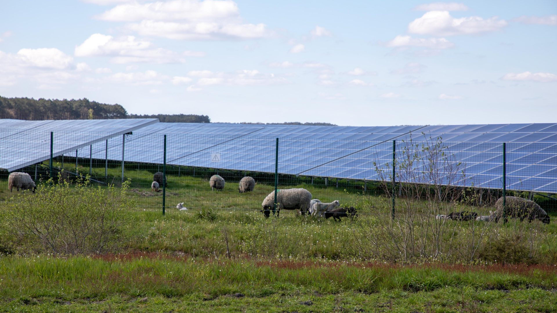 agrivoltaico